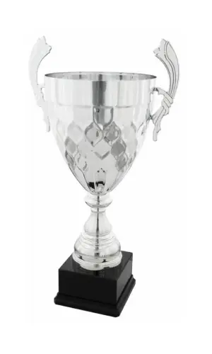 Zdjęcie srebrnego pucharu