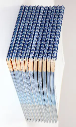 Zdjęcie oprawy drutowej